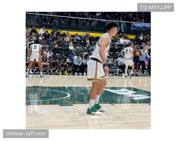 赵维伦此役未获出场机会，新赛季于旧金山大学面临角色挑战